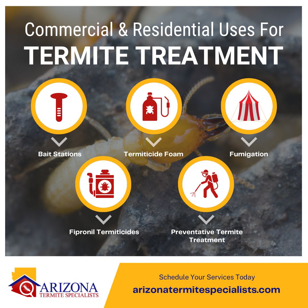 Commercial and Residential Termite Treatment Infographic