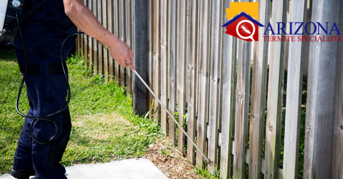 What is the Safest Type of Termite Control?