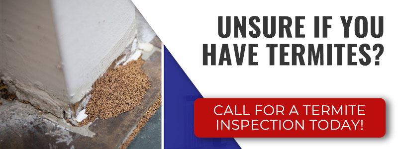 Termite Inspection CTA