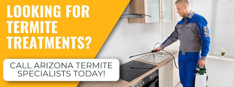 Termite Treatment CTA