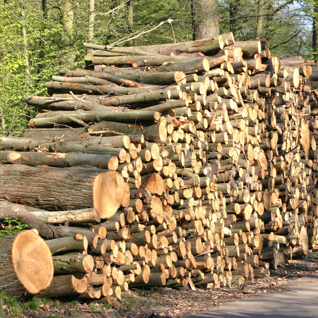 pile of wood