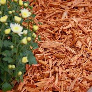 Wood-Based Mulch