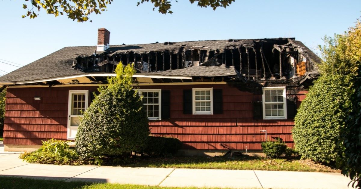 Termite Treatment Gilbert Can You Be Allergic To Termites?