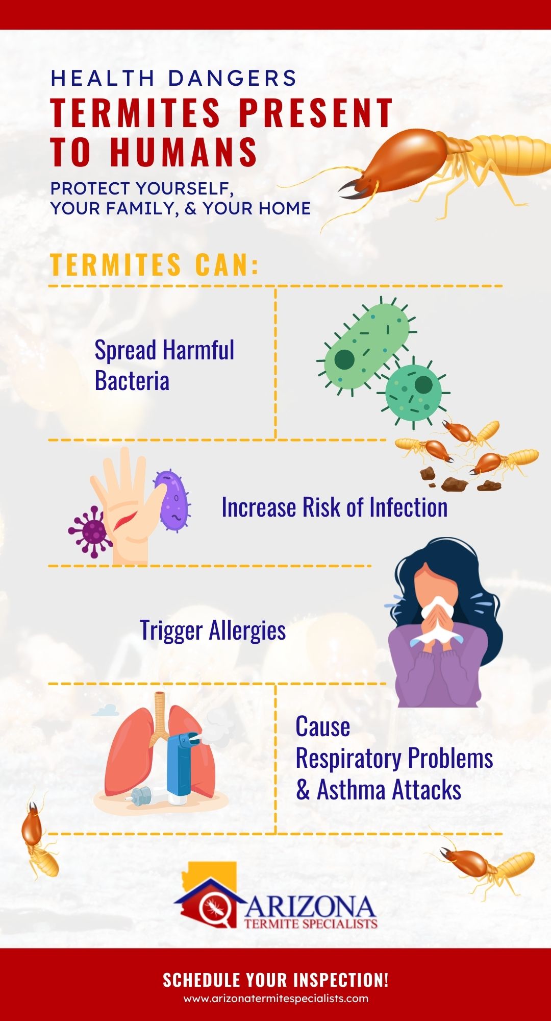 health dangers termites present to humans infographic