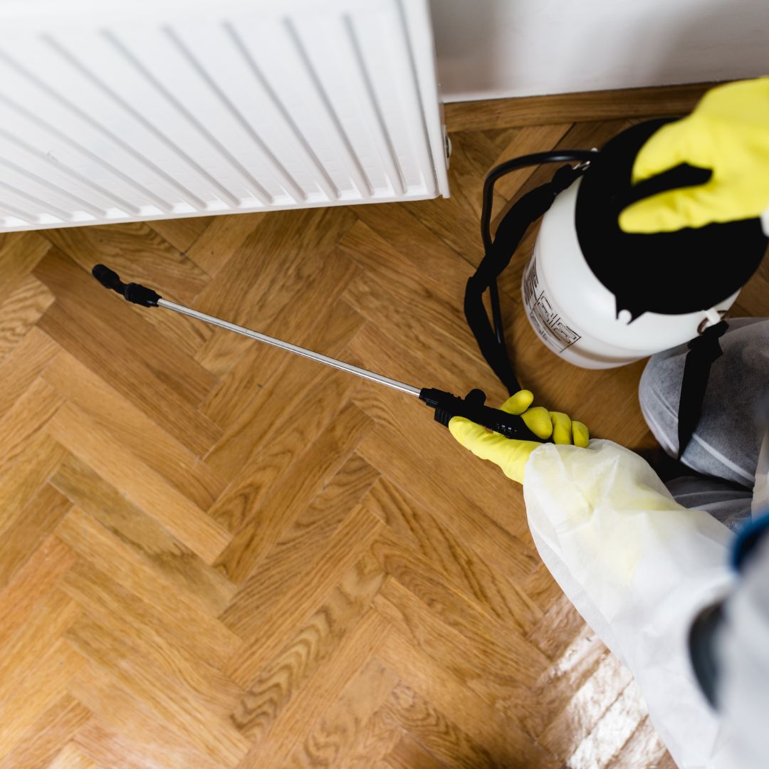 spraying chemical into baseboard